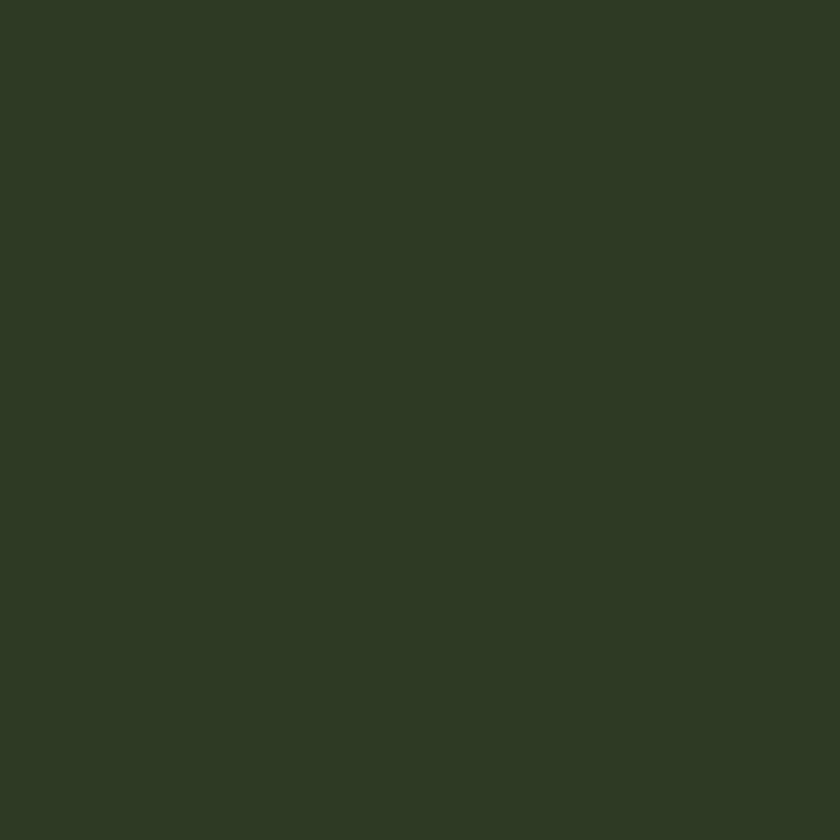 RAL_6020