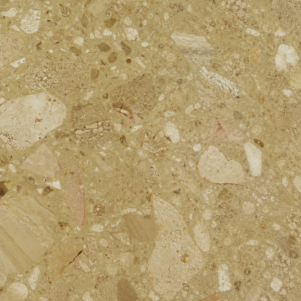 image-8-compressed
