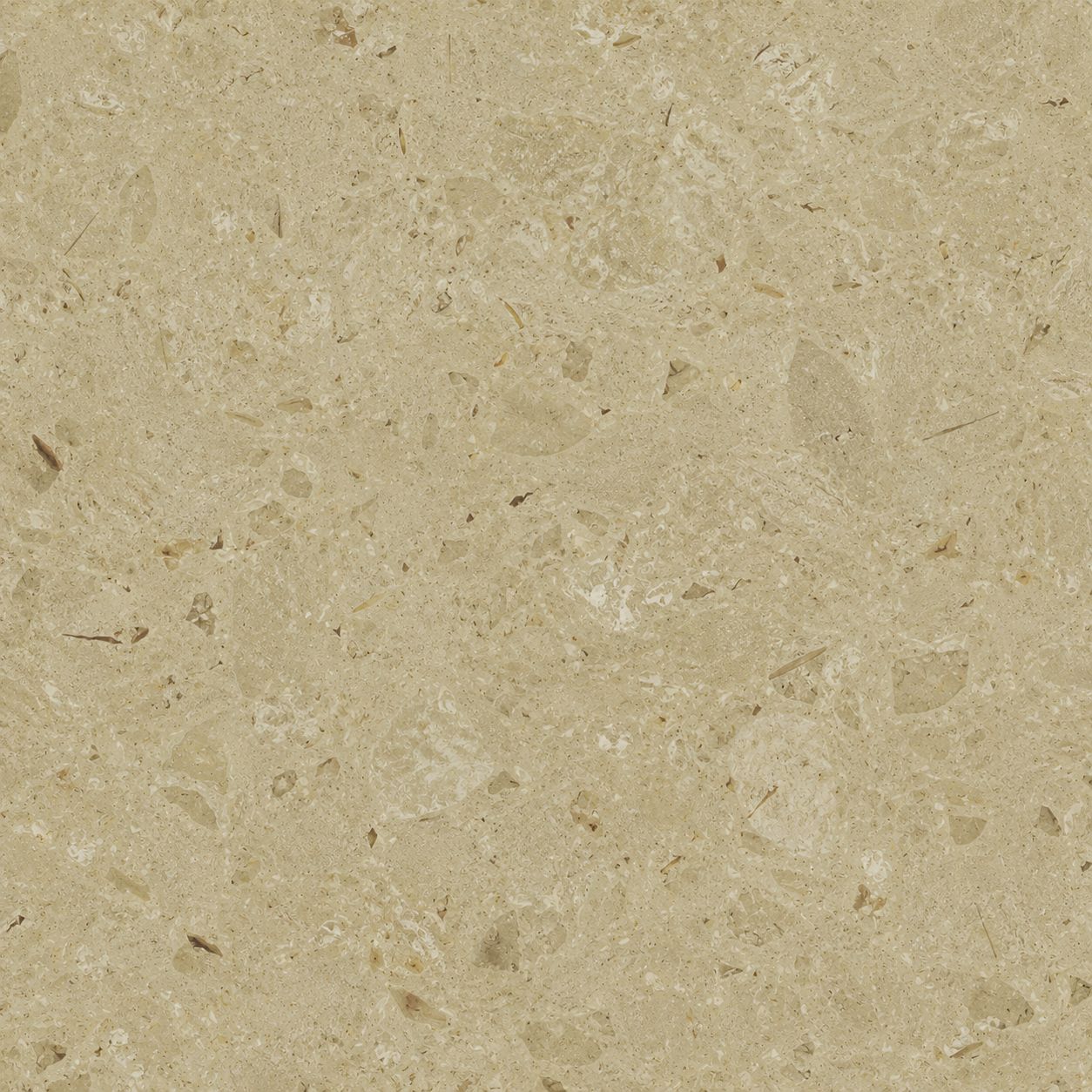 image-9-compressed